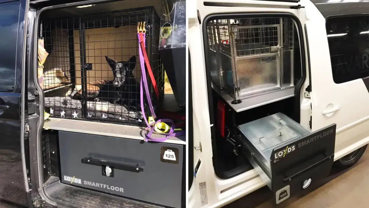 Hundbur i skåpbil med smarta förvaringslådor. En hund vilar i buren på en stjärnmönstrad bädd.