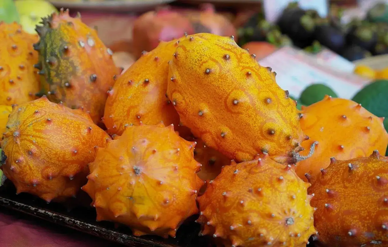 Pomarańczowe, kolczaste kiwano, egzotyczne warzywo z kolcami, leży na tacy.