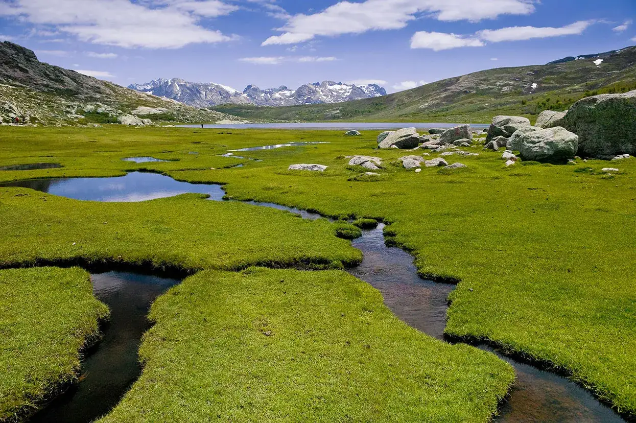 Vaste prairie verdoyante parsem&eacute;e de mares et de ruisseaux, avec des montagnes enneig&eacute;es en arri&egrave;re-plan. Quel est le gr le plus difficile &agrave; traverser ?