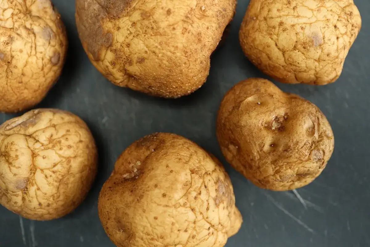 Six pommes de terre molles, à la peau ridée et terreuse, reposent sur une surface sombre.