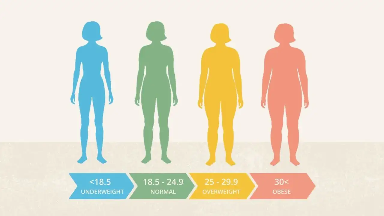 Sylwetki kobiet ilustrujące kategorie BMI: niedowaga, **bmi normy**, nadwaga, otyłość.