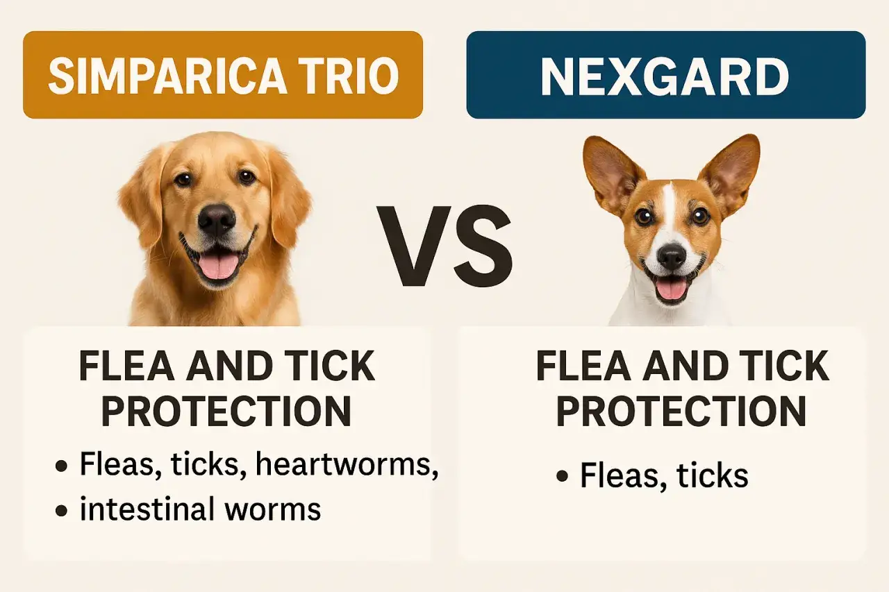 Simparica vs Nexgard dla szczeniaka porównanie