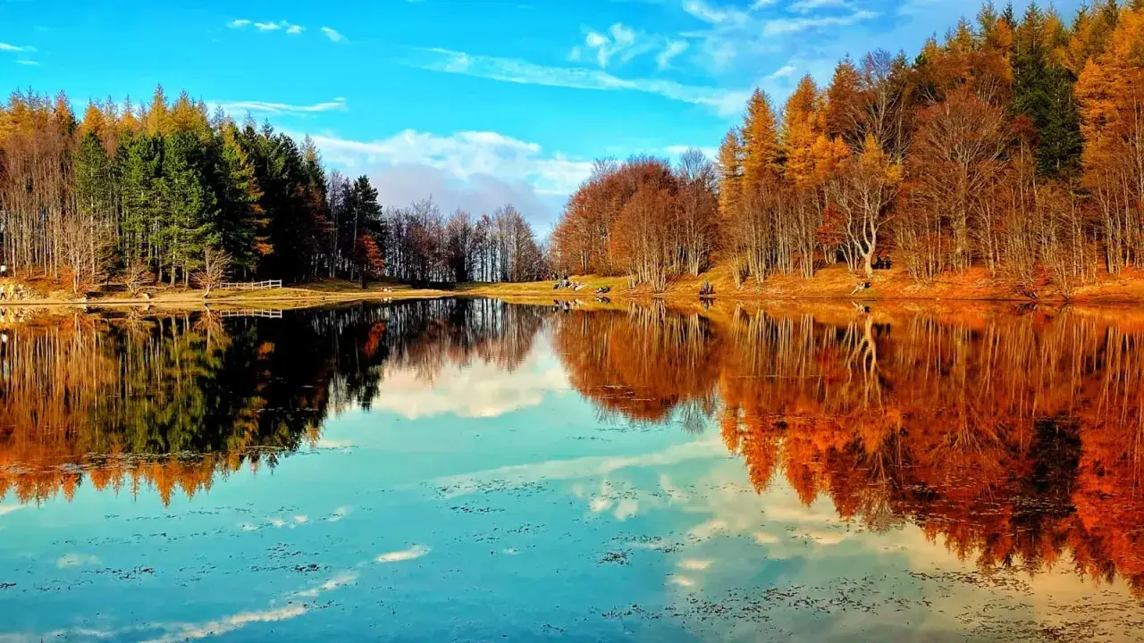 Riflessi autunnali sui laghi dell'Emilia Romagna, con alberi dai colori caldi che si specchiano nell'acqua calma.