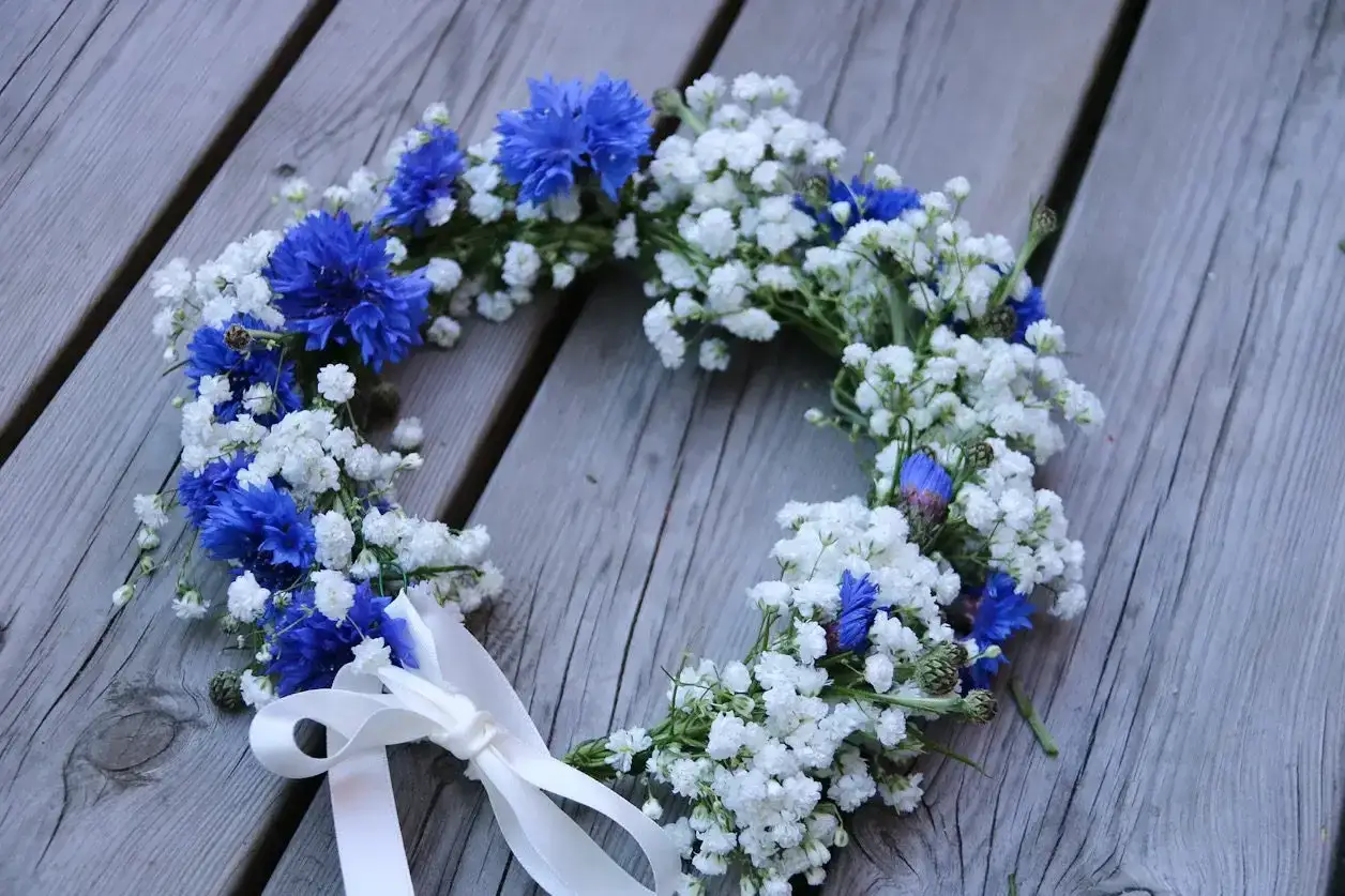 Bl&aring;klintskrans med sm&aring; vita blommor och vita band, perfekt f&ouml;r midsommar afton.
