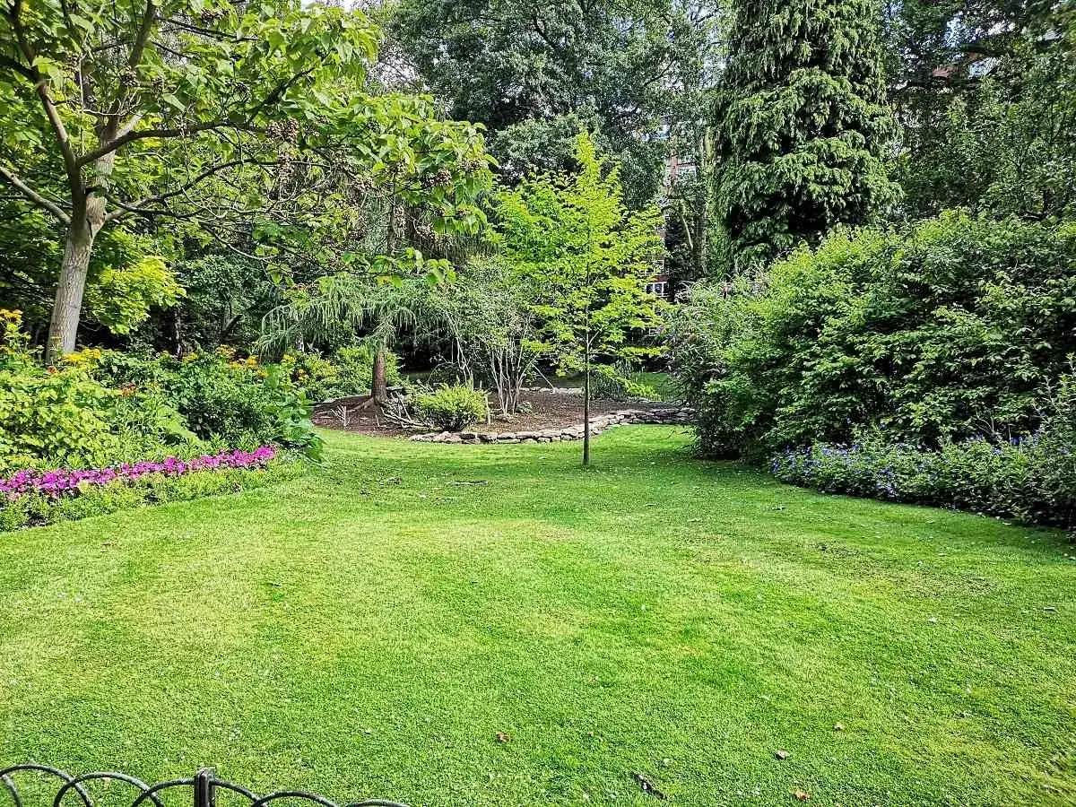 Jard&iacute;n exuberante con c&eacute;sped verde, flores moradas y arbustos frondosos. Un lugar ideal para aplicar jab&oacute;n pot&aacute;sico y cuidar las plantas.