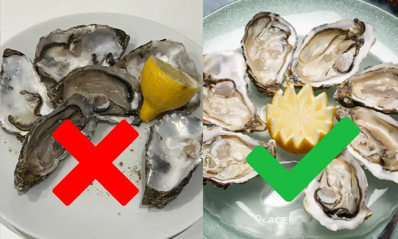 Ostras frescas y jugosas, un marisco delicioso. La imagen muestra la diferencia entre ostras bien presentadas y otras no tanto.