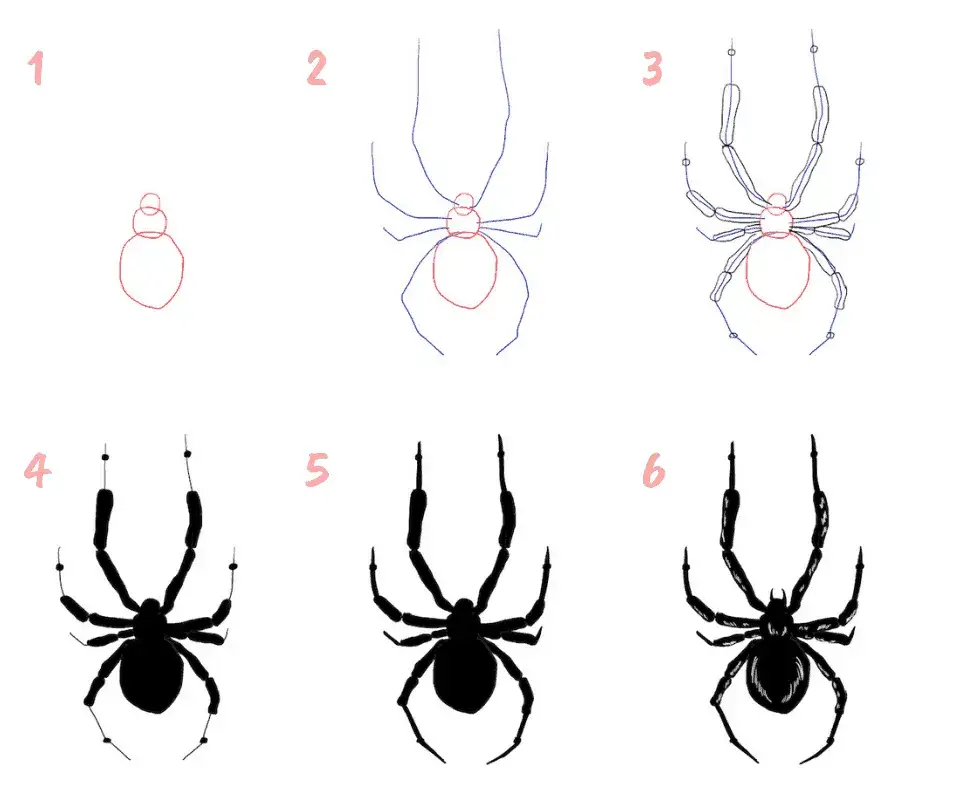 Einfache Spinne zeichnen Schritt f&uuml;r Schritt Anleitung