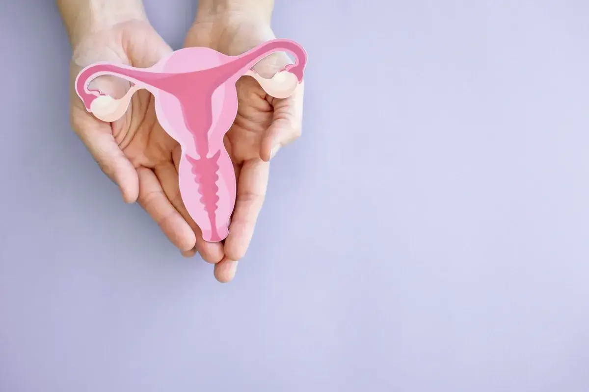 Dłonie trzymają model macicy, ukazując otwartą szyjkę macicy w ciąży.