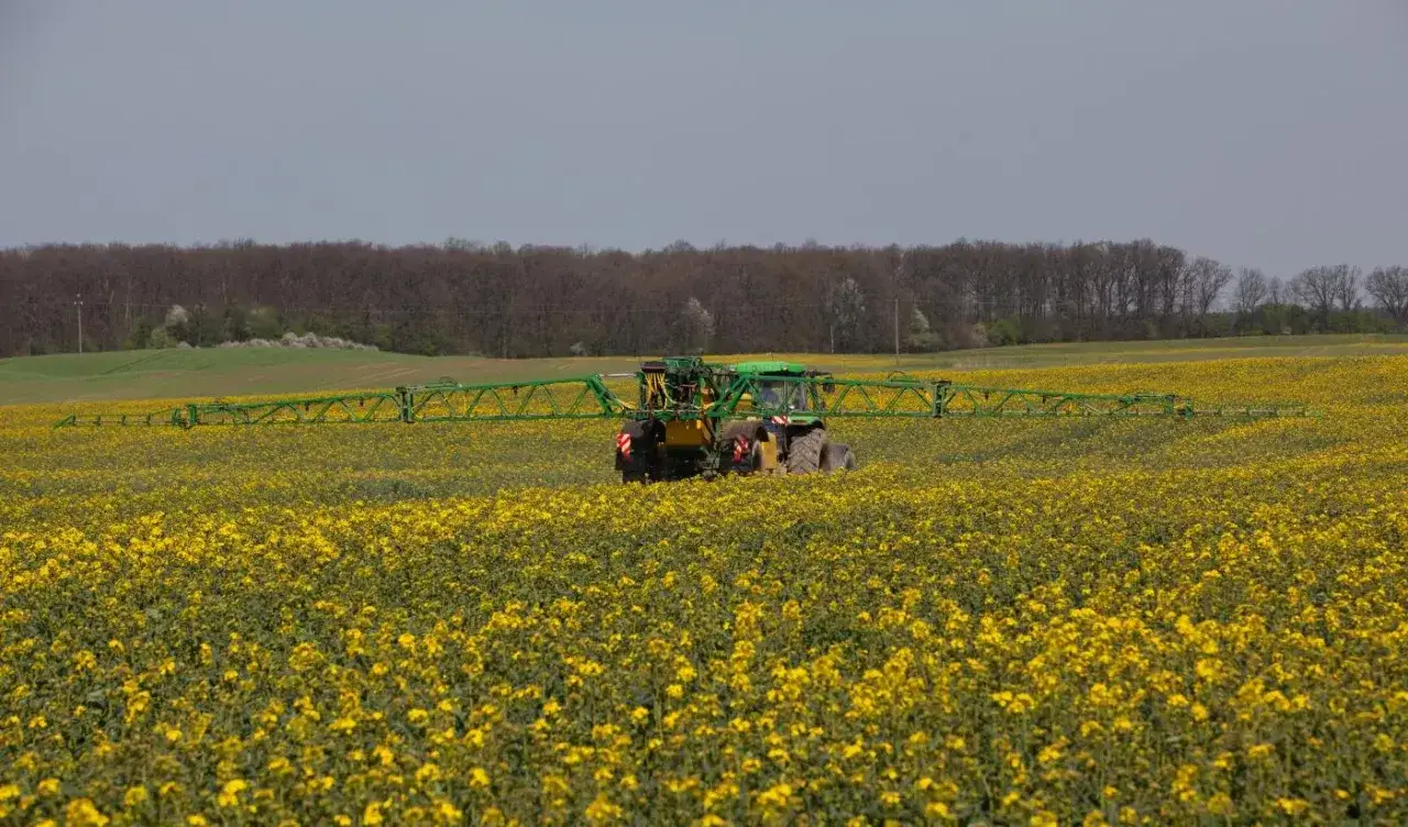 Traktor w polu rzepaku z opryskiwaczem. Rolnik szuka alternatywy dla środk&oacute;w, kt&oacute;re zostały wycofane, np. deltametryna wycofana.