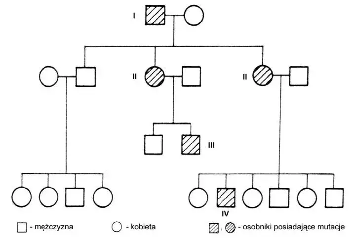 schemat dziedziczenia daltonizmu