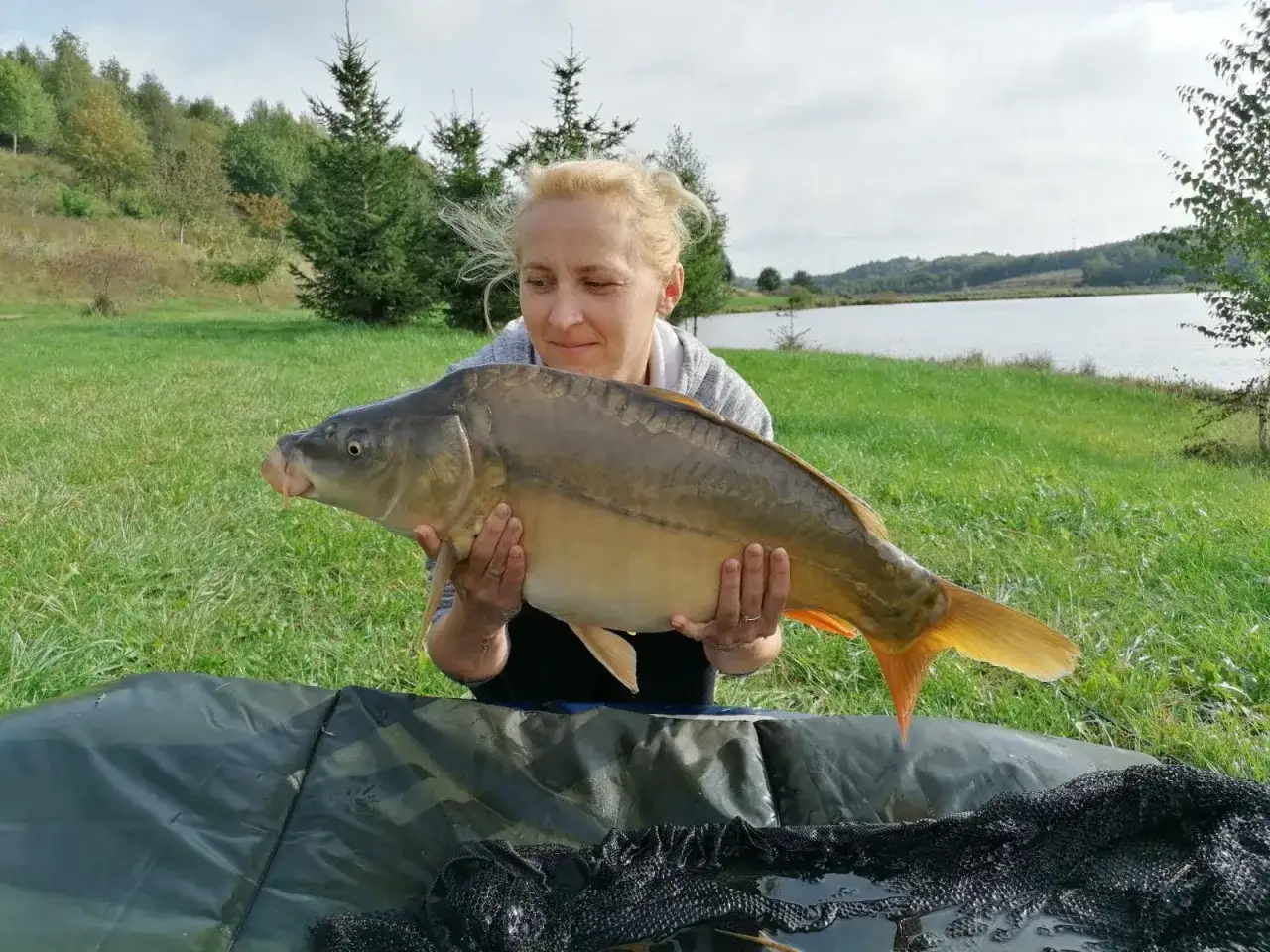 Kobieta z dumą prezentuje okazałego karpia złowionego na malowniczym łowisku karp w dolinie.