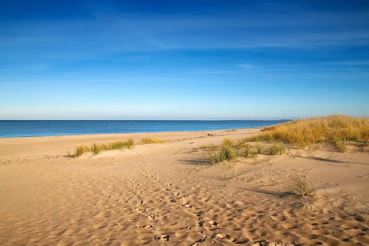 Piaskowa plaża na Pomorzu Gdańskim, porośnięta trawami, z błękitnym niebem i spokojnym morzem.