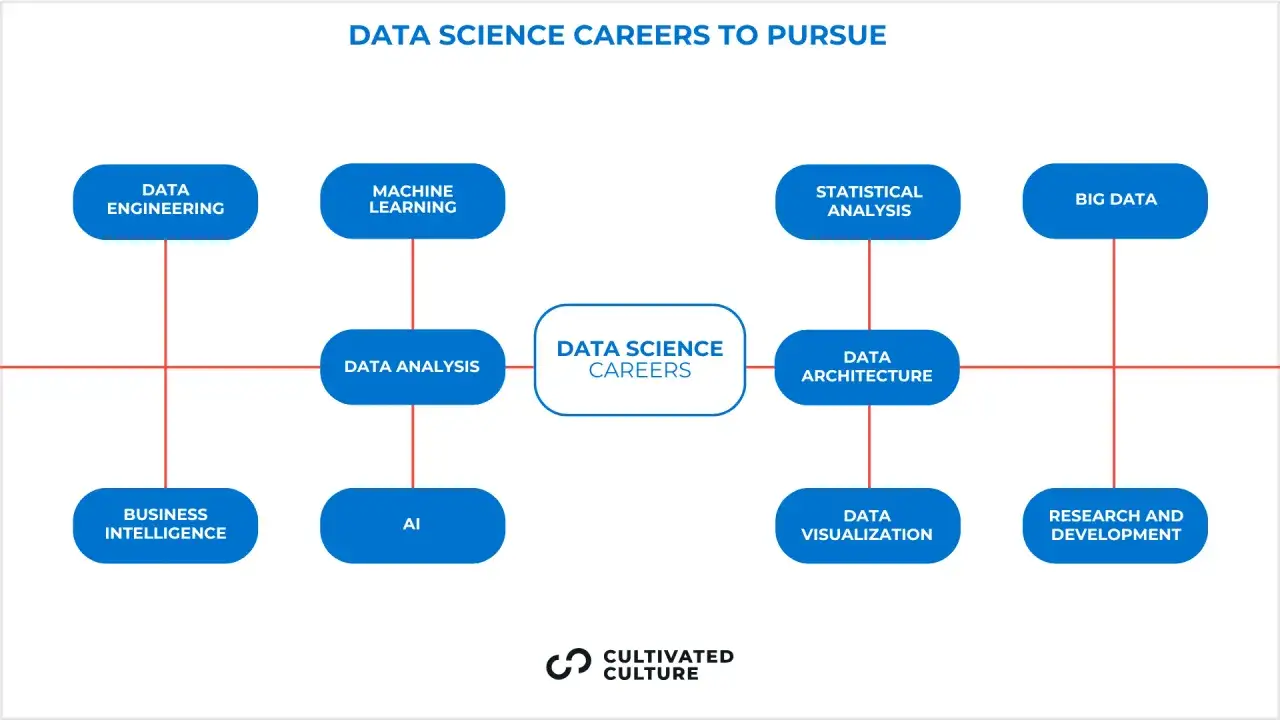 Sch&eacute;ma des carri&egrave;res en data science : ing&eacute;nierie, analyse, IA, machine learning, visualisation, etc. Une excellente formation en data science ouvre ces portes.