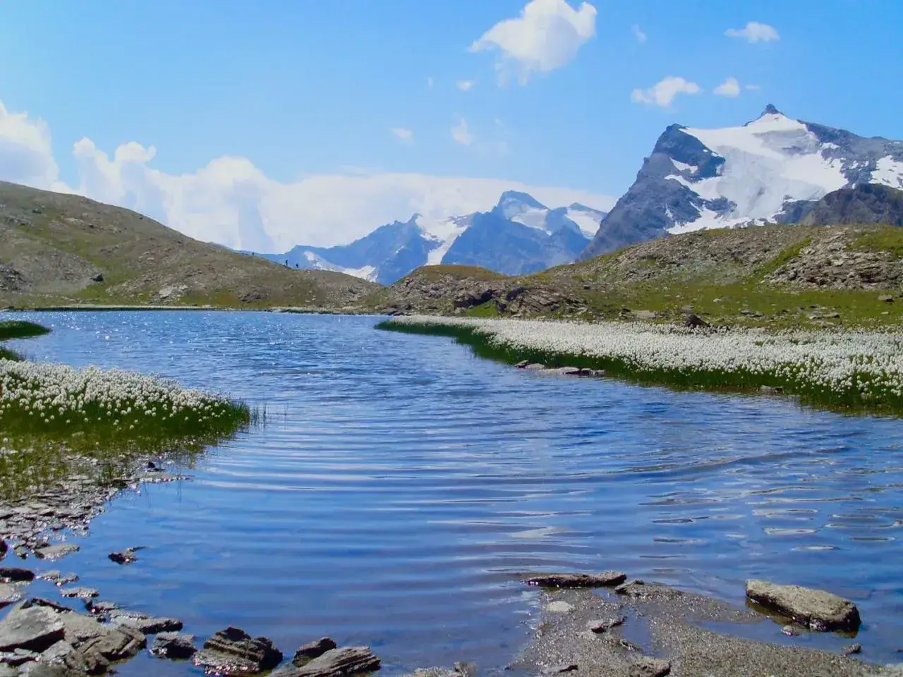 Lac alpin paisible bordé de fleurs blanches, montagnes enneigées en arrière-plan. Un chemin du petit bonheur s'offre aux randonneurs.
