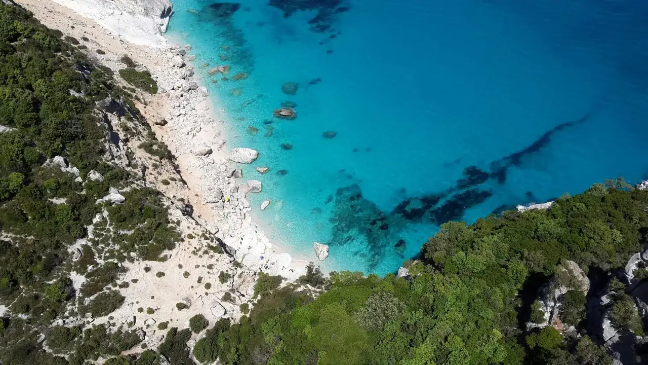 Vista aérea de la **playa de Altea**, con aguas turquesas cristalinas, arena blanca y rocas, rodeada de vegetación verde y acantilados.