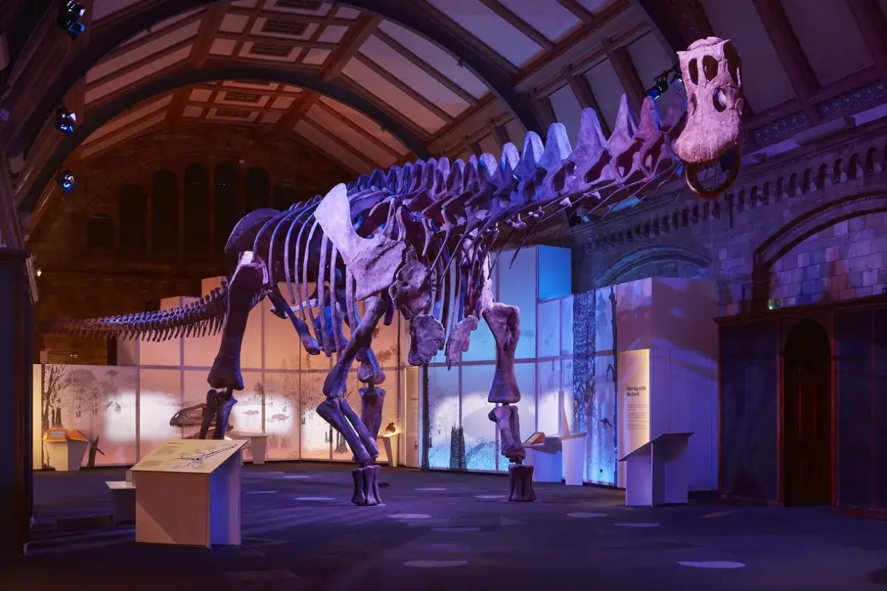 Szkielet dinozaura w muzeum w Londynie. Wspaniała ekspozycja prehistoryczna.