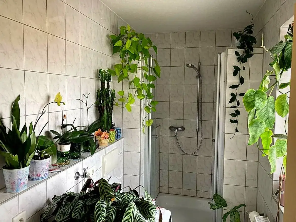 Une jungle luxuriante prosp&egrave;re dans cette salle de bain, o&ugrave; la plante salle de bain humidit&eacute; cr&eacute;e un microclimat parfait pour les plantes d'int&eacute;rieur.