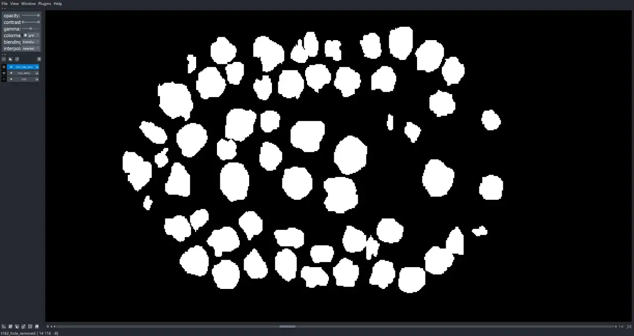 Un ensemble d'objets blancs sur fond noir, comme un masque binaire repr&eacute;sentant des cellules ou des particules.