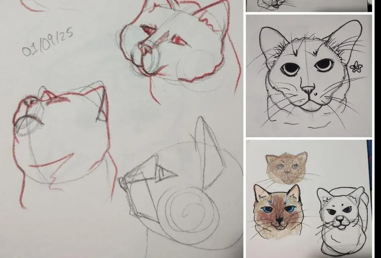 verschiedene Katzenstile zeichnen