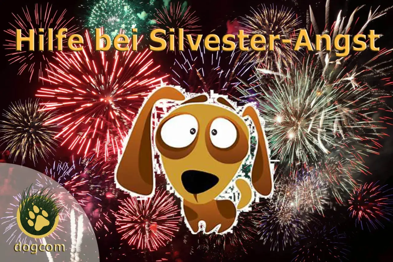 Hilfe bei Silvester-Angst: Ein ver&auml;ngstigter Hund inmitten von Feuerwerk. Nicht den Hund Silvester alleine lassen!