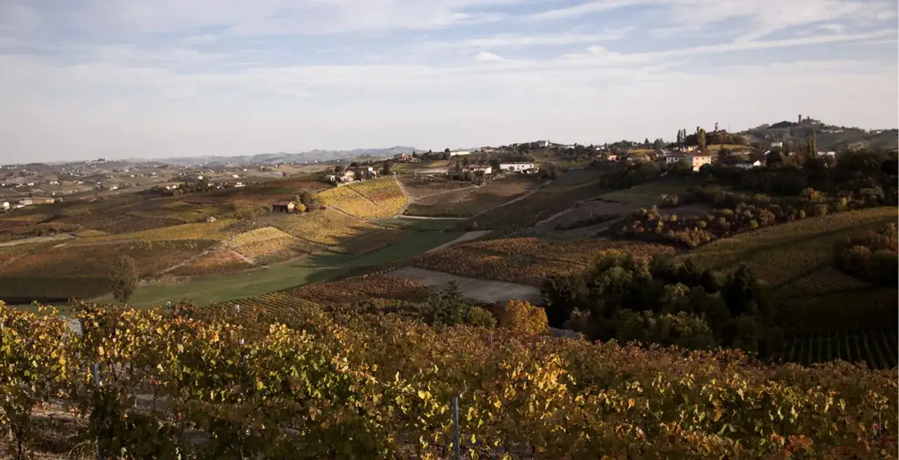 Sanfte Hügel mit Weinbergen im Herbstlicht bei Nizza Monferrato. Dörfer schmiegen sich an die Hänge.