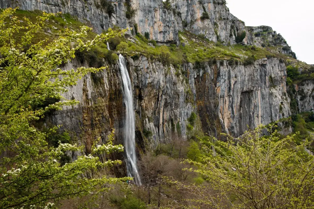 Impresionante cascada en el nacimiento del r&iacute;o As&oacute;n, cayendo por un acantilado rocoso cubierto de vegetaci&oacute;n verde y flores blancas.