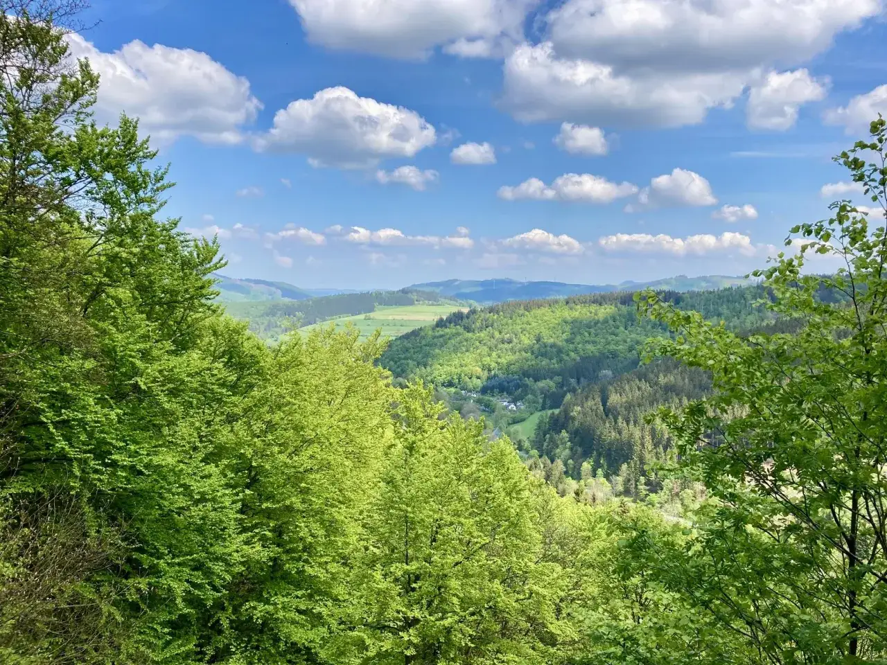 Gr&uuml;ne W&auml;lder und sanfte H&uuml;gel pr&auml;gen die Landschaft. Perfekt f&uuml;r eine Auszeit beim Wandern NRW Berge.