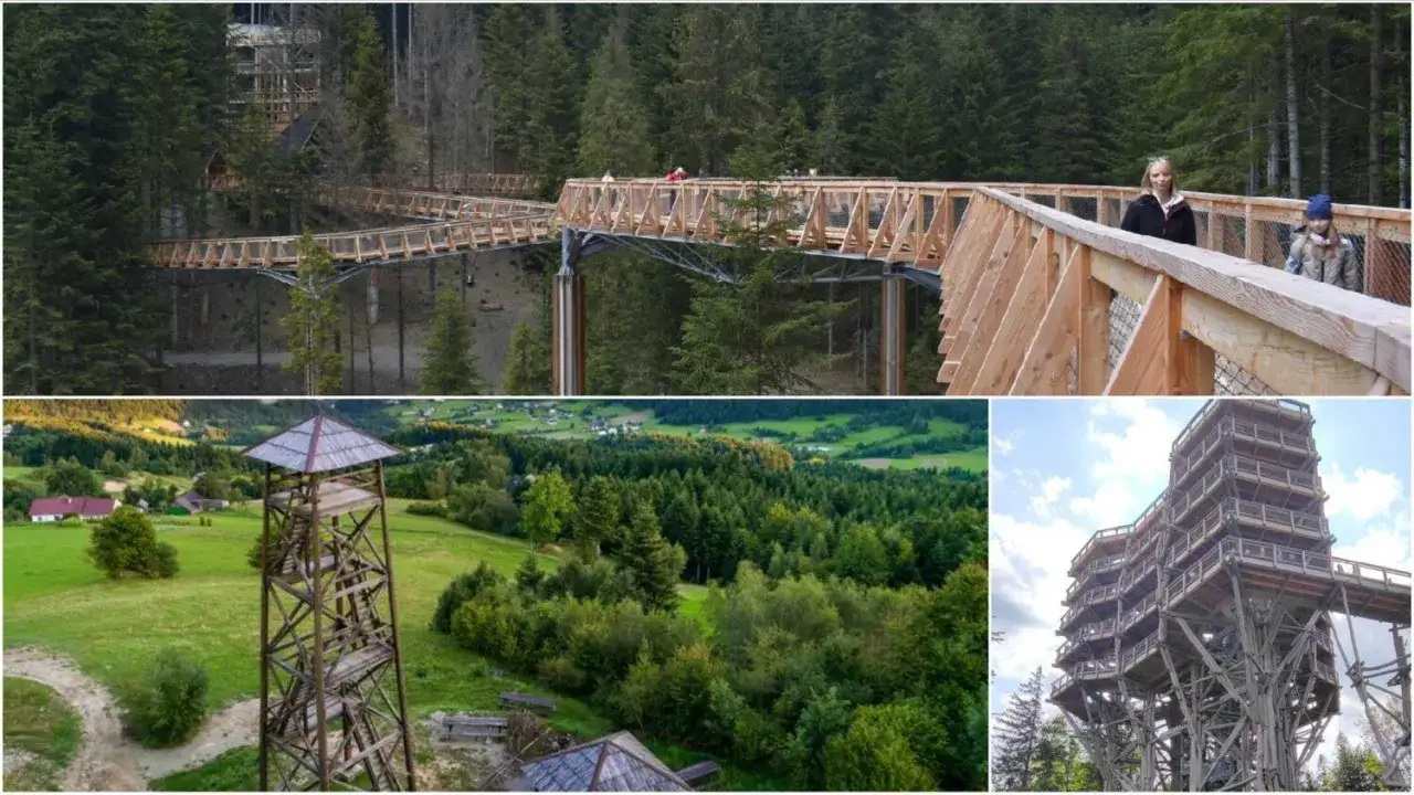 Drewniane wieże widokowe w Małopolsce oferują niezwykłe spacery wśr&oacute;d drzew i malownicze panoramy.