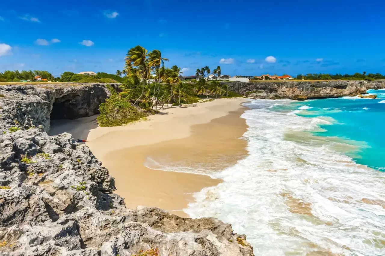 Traumhafte Bucht mit Palmen und türkisfarbenem Wasser. Perfekt für die beste Reisezeit Barbados!