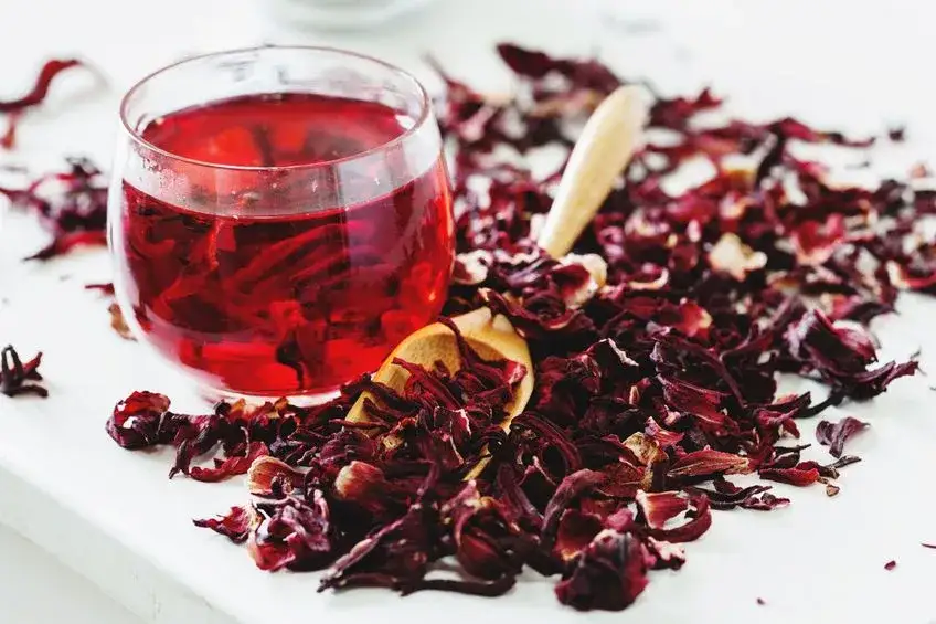 zioła zakazane w ciąży hibiskus lukrecja