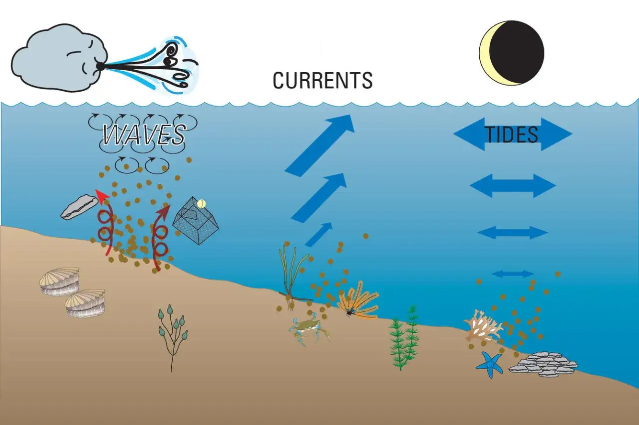Ilustracja pokazuje ruch wód oceanu: fale wywołane wiatrem, prądy i pływy.