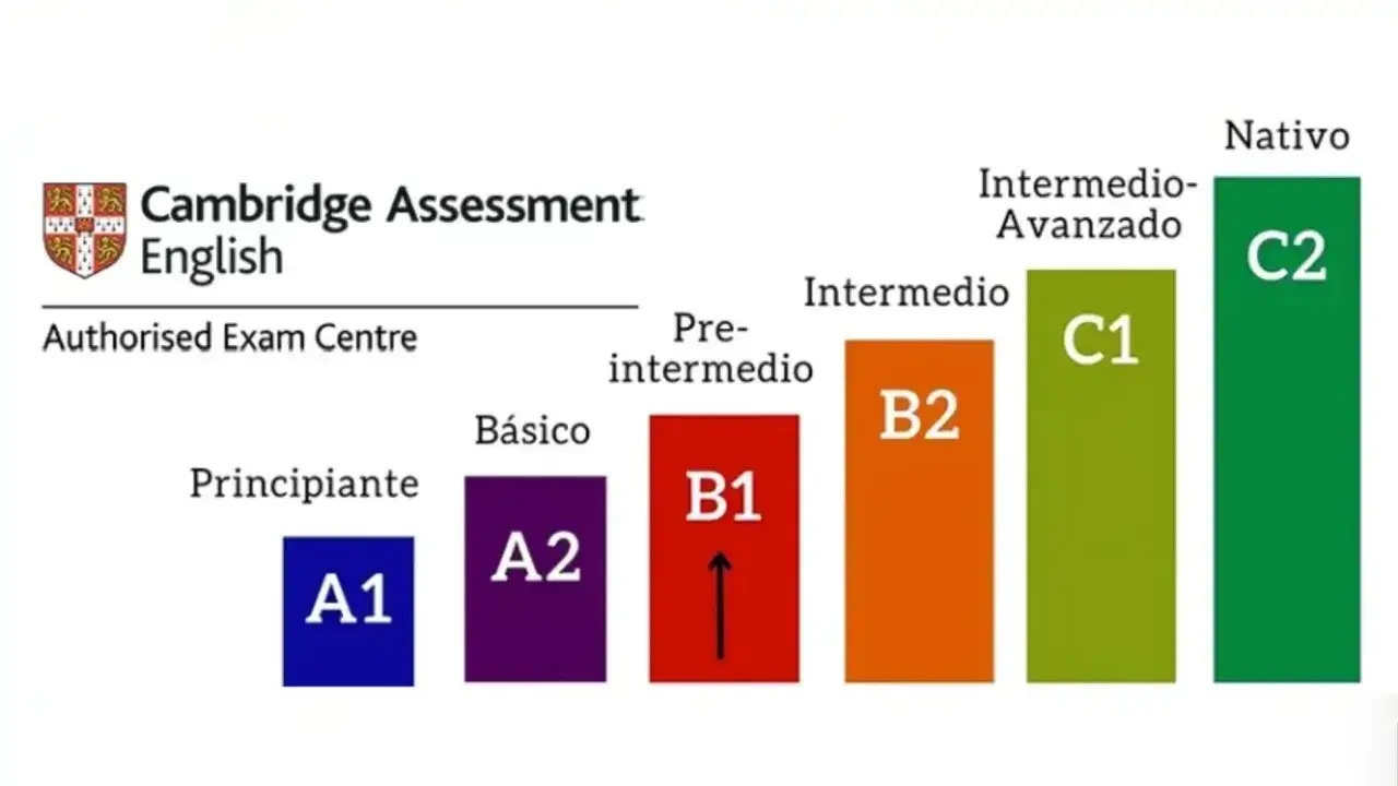 Gráfico de Cambridge English muestra niveles de inglés: A1 (Principiante) a C2 (Nativo). Ideal para saber que nivel de ingles tengo.