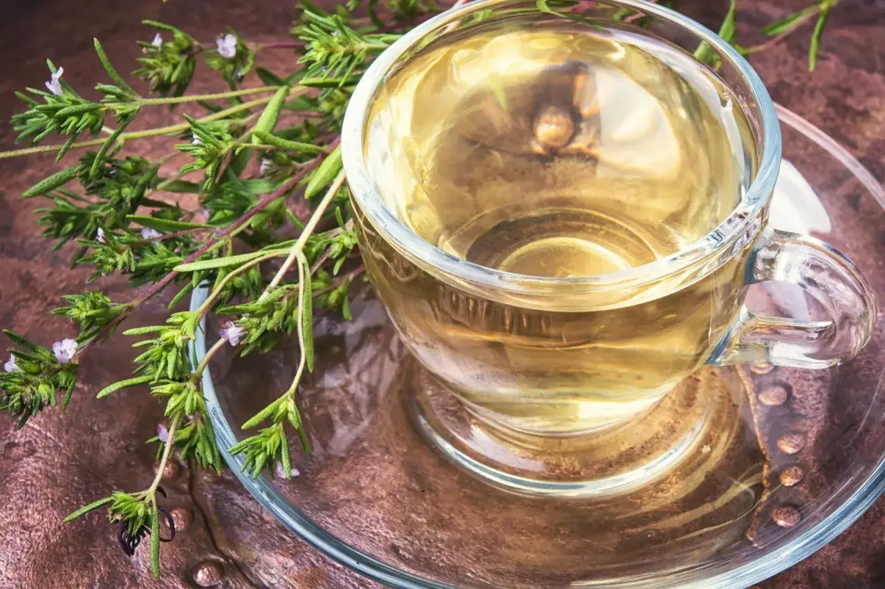 Aromatyczna herbata z oregano w szklance, obok świeże gałązki. Idealny sposób, jak parzyć oregano dla zdrowia i smaku.