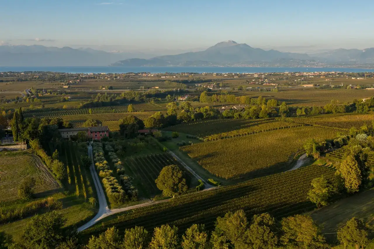 Sanfte H&uuml;gel mit Weinreben, Olivenb&auml;umen und einem roten Bauernhaus. Im Hintergrund der Gardasee und Berge, die die Lugana Wein Herkunft erahnen lassen.