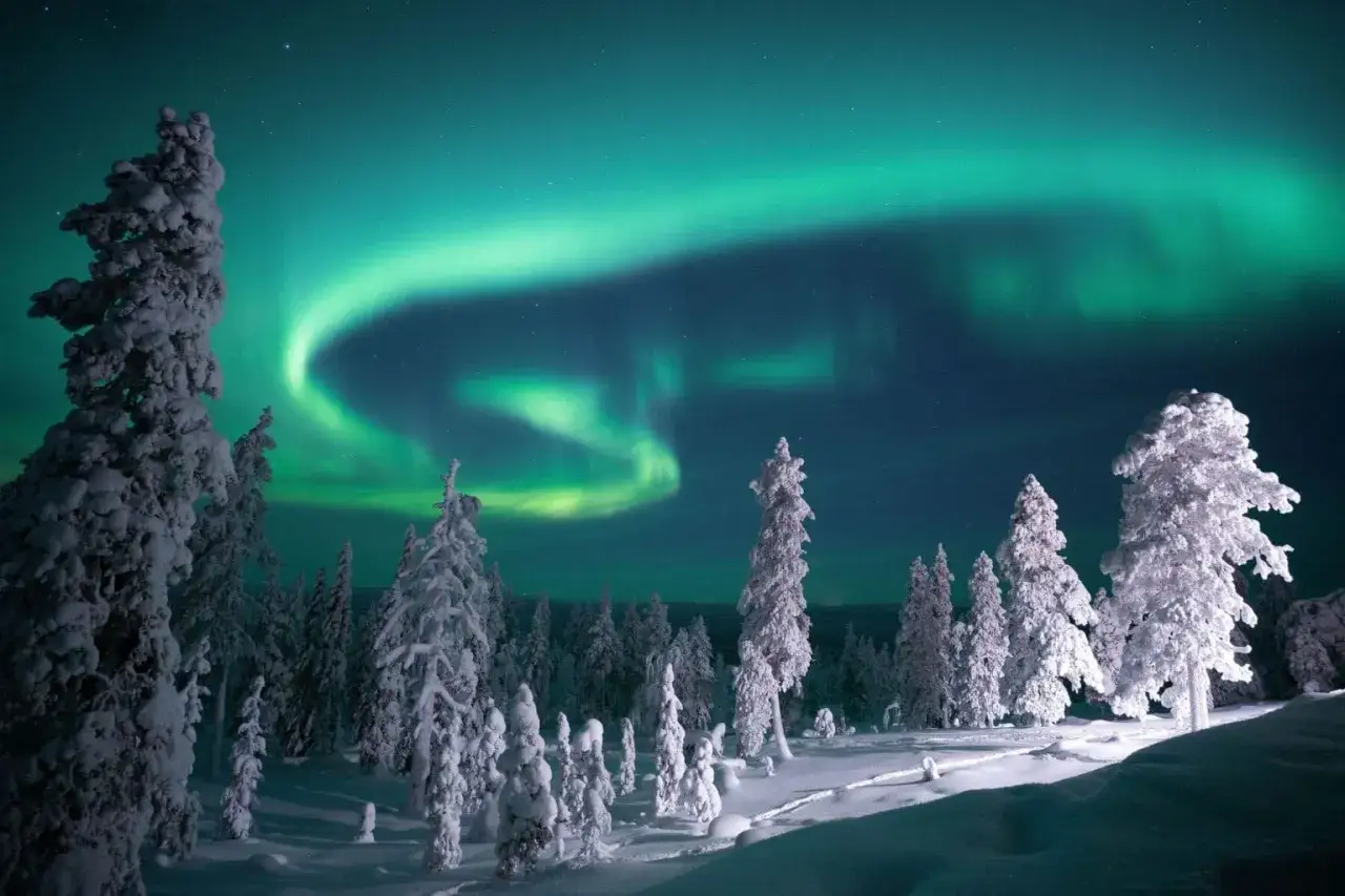 Paisaje invernal en Finlandia con árboles cubiertos de nieve y la aurora boreal danzando en el cielo nocturno. ¡Imprescindible que ver en Finlandia!