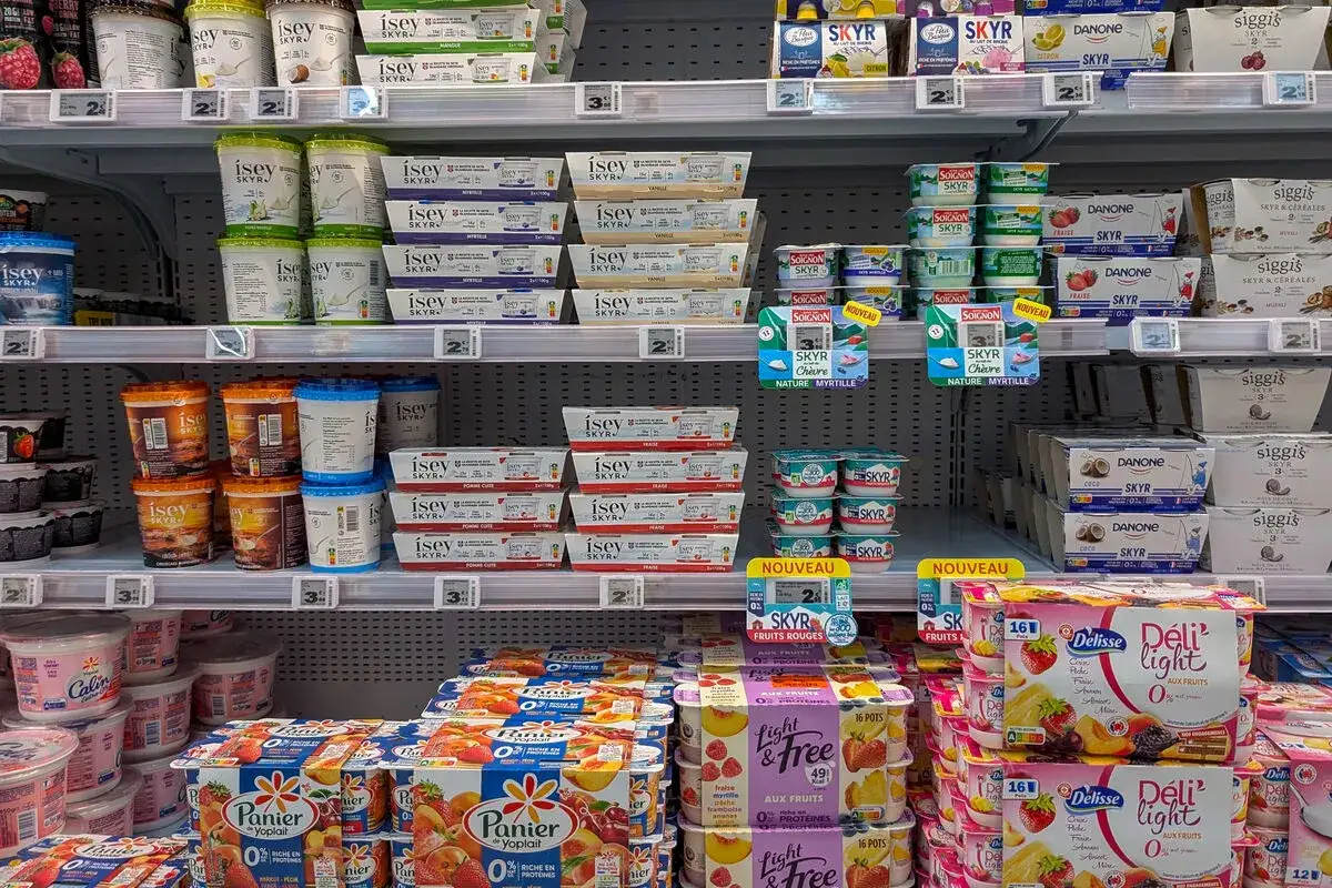 Rayon frais : une sélection de yaourts fermentés, incluant des marques comme Skyr, Danone, Siggi's, Isigny et Panier de Yoplait, propose une variété de saveurs et de formats.