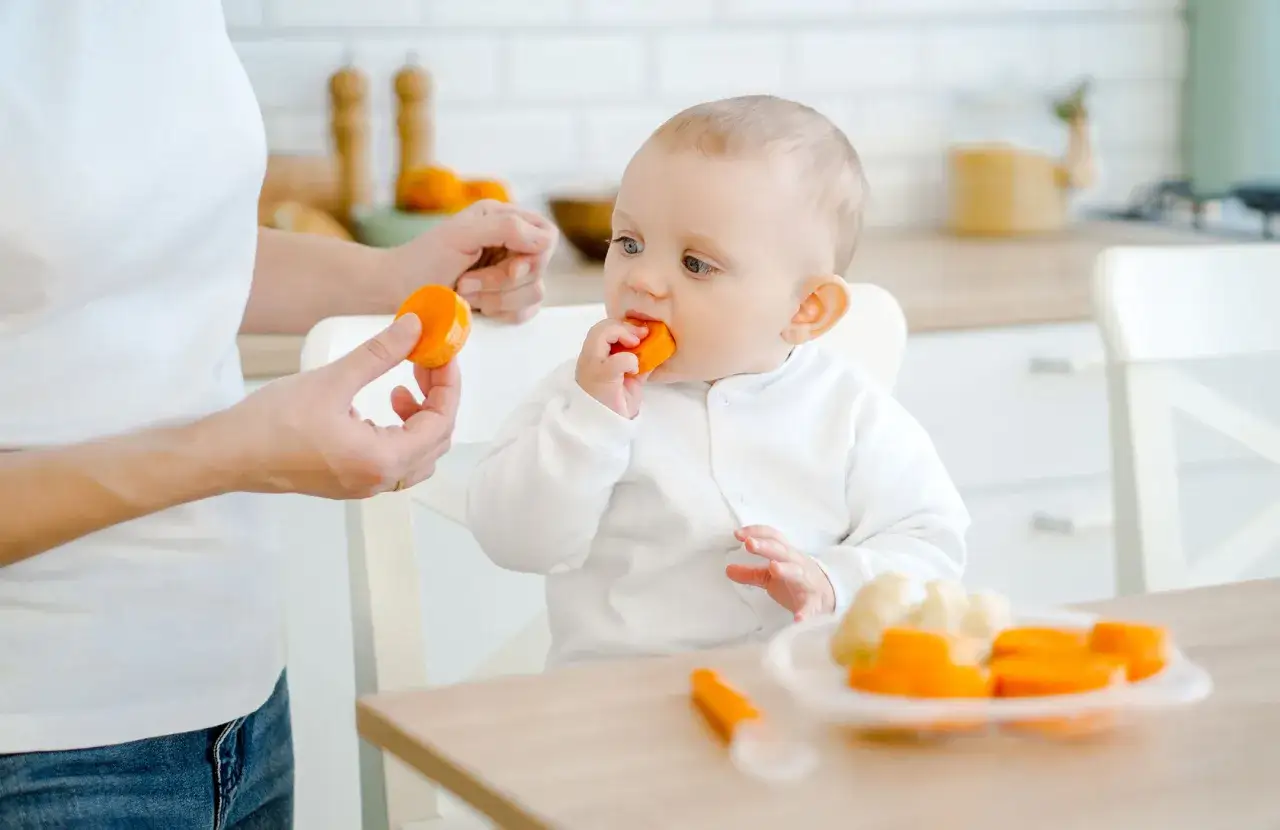 Un bebé adorable prueba un trozo de fruta naranja mientras su madre le ofrece otro.