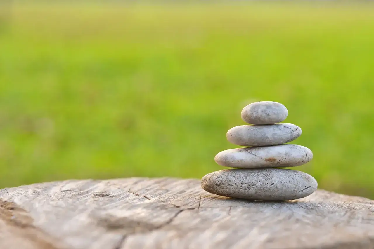 Kamienie ułożone w stos na pniu drzewa, symbolizujące równowagę i spokój. To właśnie jest wellness co to znaczy dla Ciebie?