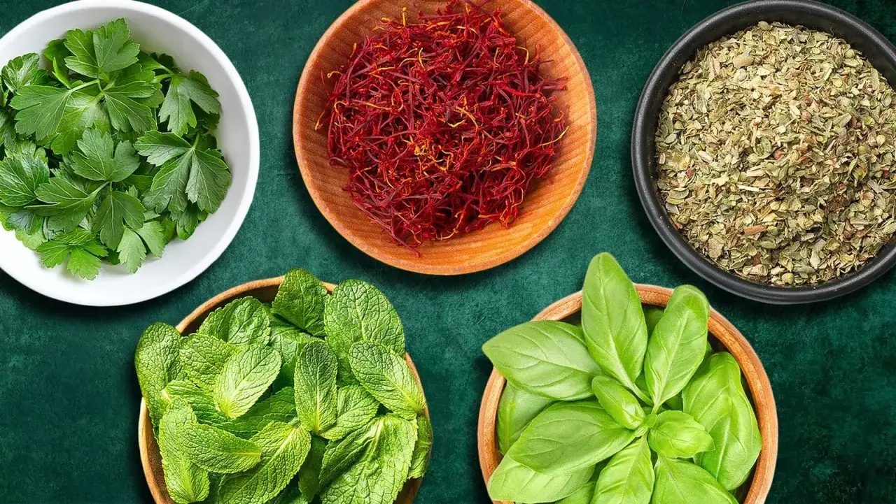 Frische Kräuter wie Petersilie, Minze und Basilikum, dazu Safran und Oregano – die perfekte Auswahl für authentische mediterrane Rezepte.