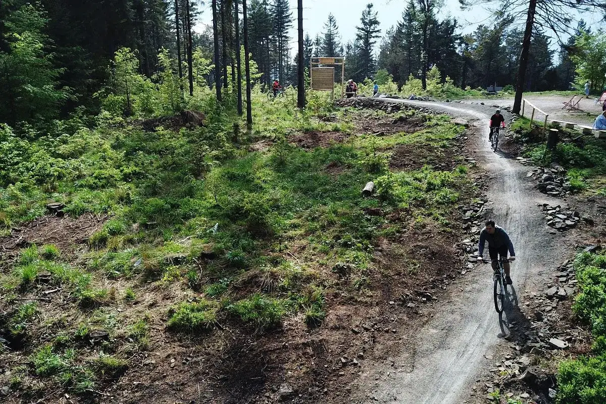 Rowerzyści pokonują krętą ścieżkę w lesie. Widok na Beskidy rowerem, pełne zieleni i leśnych zakręt&oacute;w.