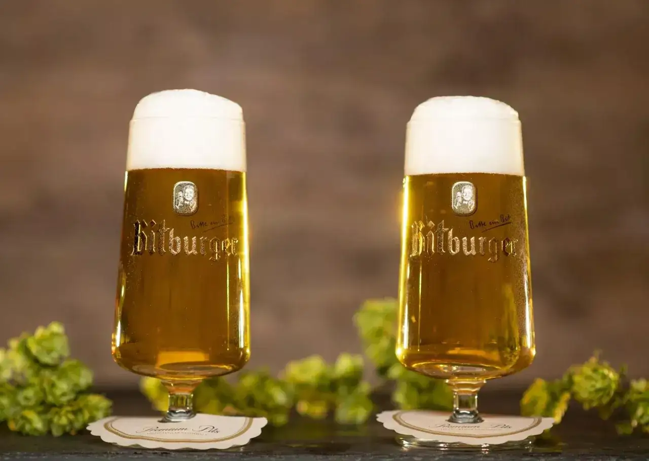 Zwei Gl&auml;ser Bitburger Pils mit cremigem Schaum, umgeben von Hopfen. Der Alkoholgehalt ist typisch f&uuml;r ein Pils.