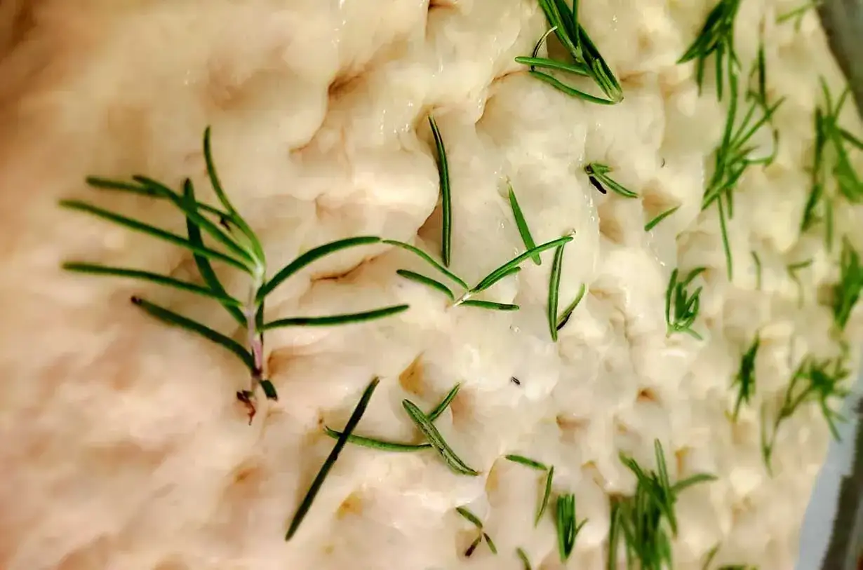 Frisch zubereiteter Teig für italienische Focaccia, bestreut mit aromatischem Rosmarin.