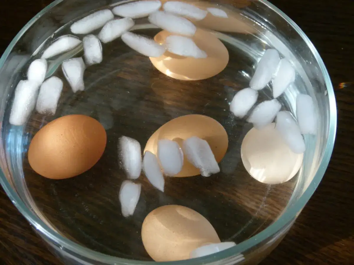 Des œufs dans un bain d'eau glacée, prêts à écaler. La glace facilite le décollement de la coquille.