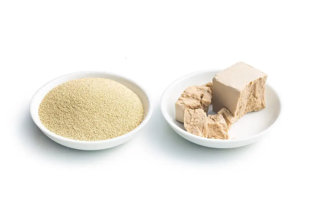 Deux bols blancs : l'un rempli de levure boulang&egrave;re d&eacute;shydrat&eacute;e en grains, l'autre de levure fra&icirc;che en cubes.