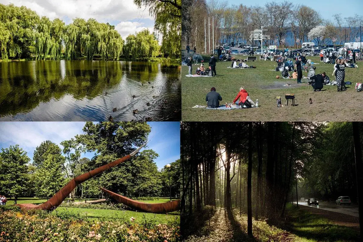 Gdańsk Chełm: park z kaczkami, piknikujący ludzie, rzeźba i leśna droga.