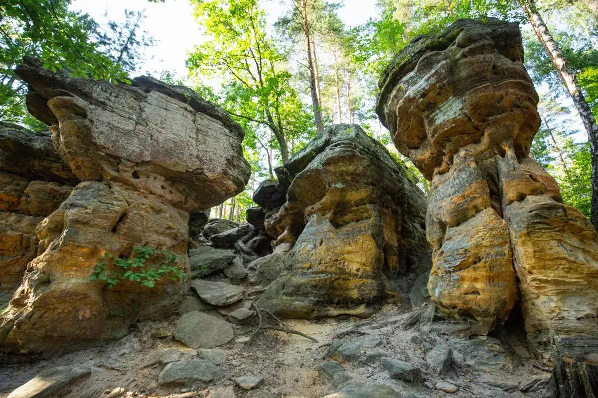 Skałki Piekło pod Niekłaniem to labirynt piaskowcowych formacji skalnych, otoczonych zielenią lasu.
