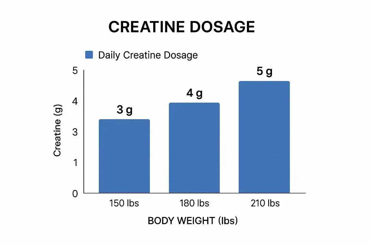 Gráfico de barras muestra la dosis de creatina por peso corporal. 150 lbs: 3g, 180 lbs: 4g, 210 lbs: 5g.