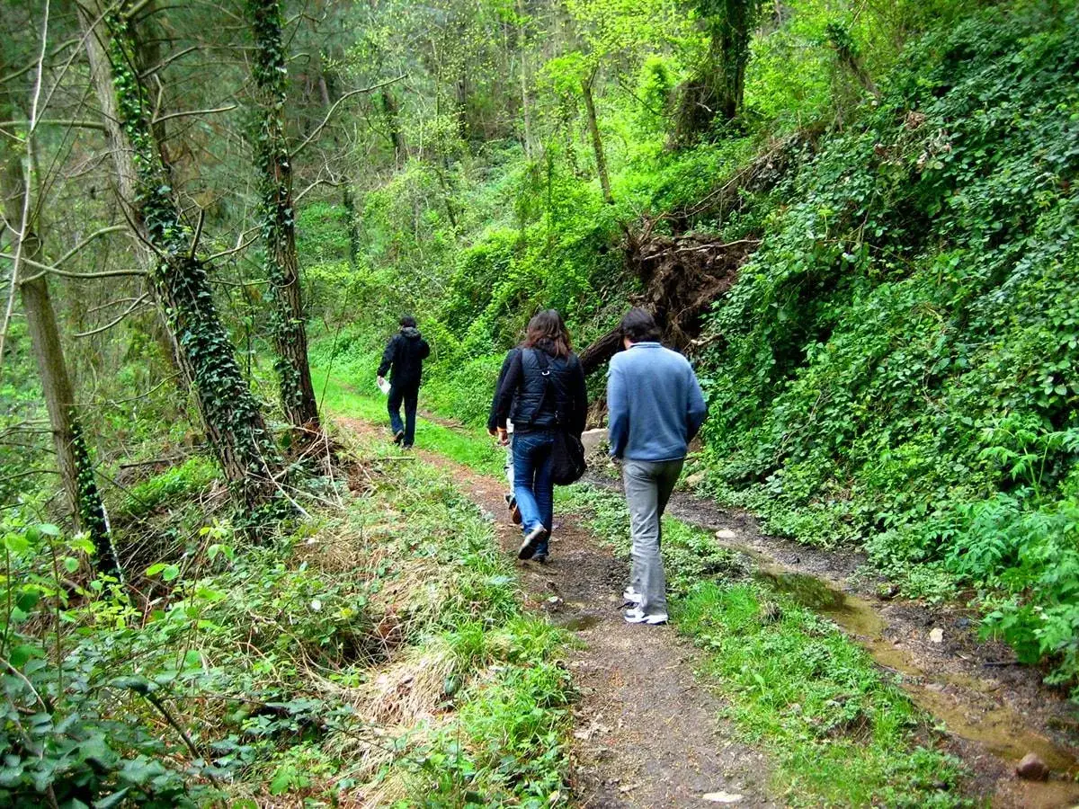 Tres personas caminan por senderos verdes en Montseny, disfrutando de la naturaleza.
