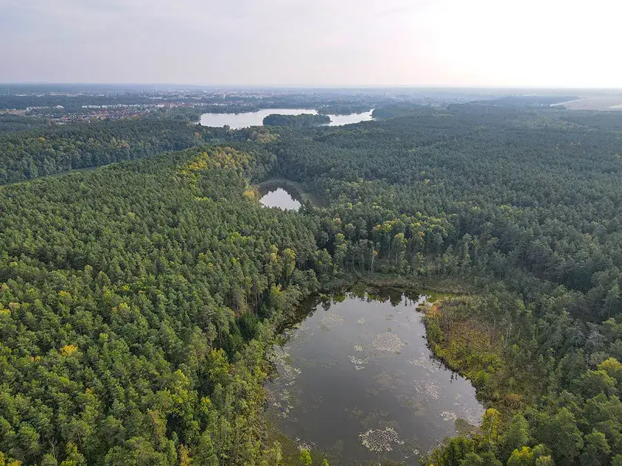 Rezerwat przyrody Kuźnik widok og&oacute;lny