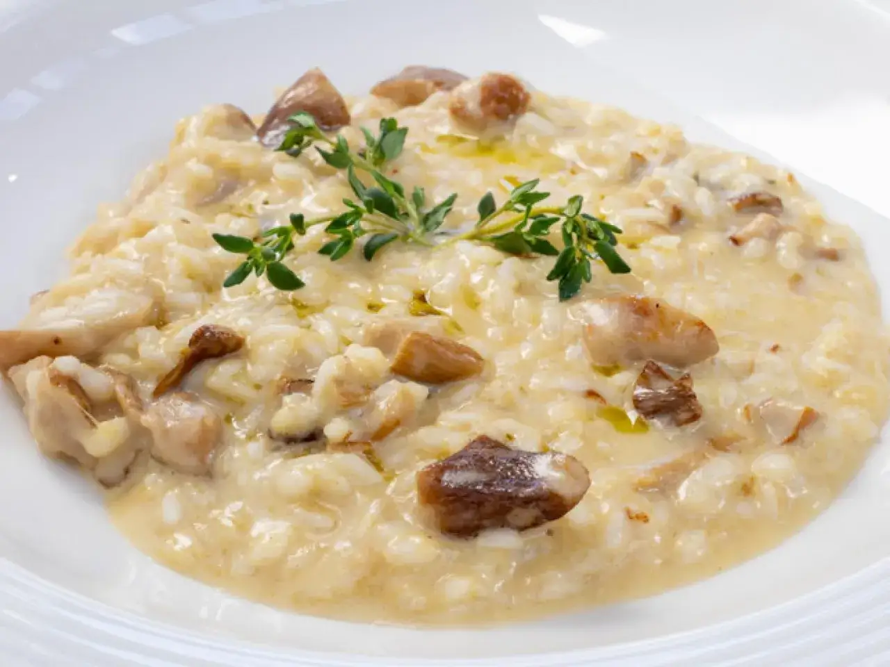 Un cremoso risotto de setas, con trozos de champiñones y un toque de tomillo fresco, servido en un plato blanco.